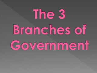 The 3 Branches of Government