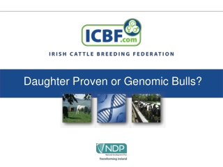 Daughter Proven or Genomic Bulls?