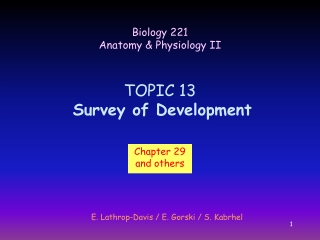 TOPIC 13 Survey of Development