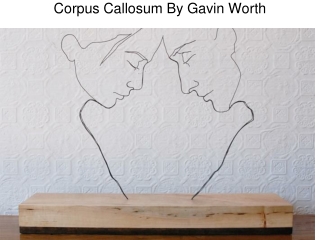 Corpus Callosum By Gavin Worth