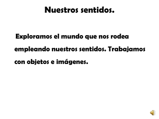 Nuestros sentidos.