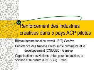 Renforcement des industries créatives dans 5 pays ACP pilotes