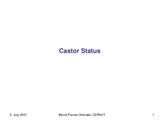 Castor Status