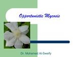 Opportunistic Mycosis
