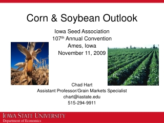Corn &amp; Soybean Outlook