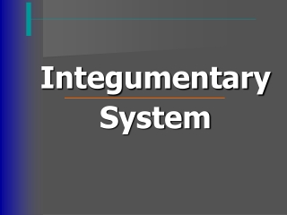 Integumentary System