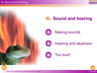 8L Sound and hearing
