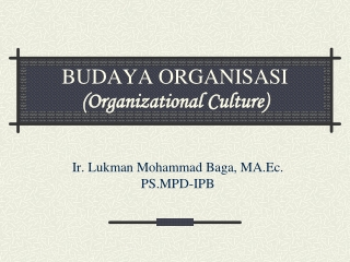 BUDAYA ORGANISASI (Organizational Culture)