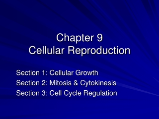 Chapter 9 Cellular Reproduction