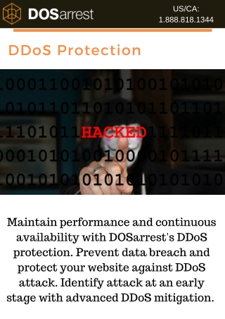 DDoS Protection