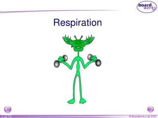 Respiration