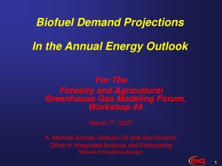 Biofuel Demand Projections In the Annual Energy Outlook