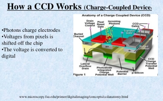 How a CCD Works (Charge-Coupled Device )