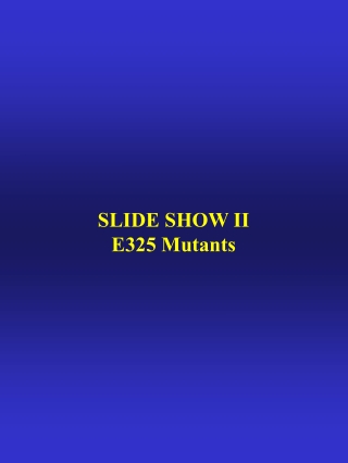 SLIDE SHOW II E325 Mutants