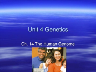 Unit 4 Genetics