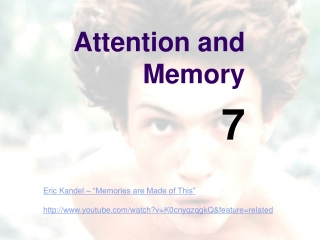 Attention and Memory