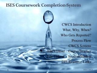 ISES Coursework Completion System