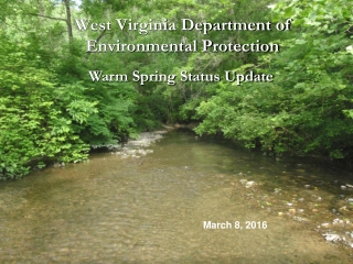 West Virginia Department of Environmental Protection