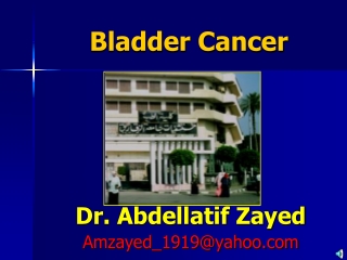 Dr. Abdellatif Zayed Amzayed_1919@yahoo