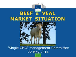 BEEF &amp; VEAL MARKET SITUATION