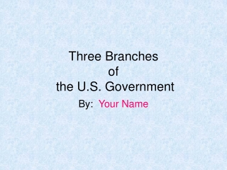 Three Branches of the U.S. Government