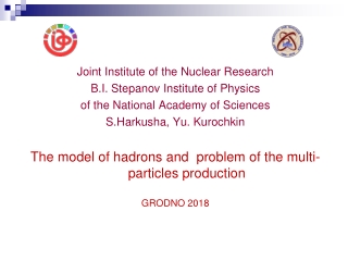 Joint Institute of the Nuclear Research B.I. Stepanov Institute of Physics