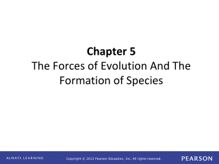 Chapter 5 The Forces of Evolution And The Formation of Species