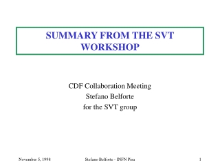 SUMMARY FROM THE SVT WORKSHOP