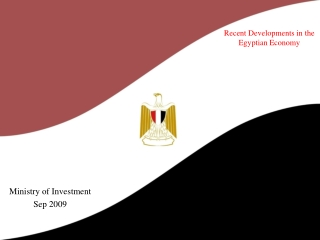 Recent Developments in the Egyptian Economy