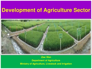 Development of Agriculture Sector