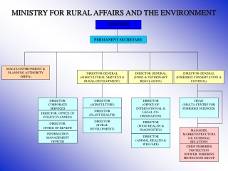 MINISTRY FOR RURAL AFFAIRS AND THE ENVIRONMENT