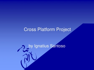 Cross Platform Project