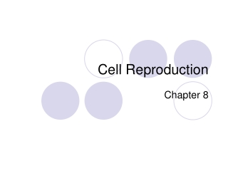 Cell Reproduction