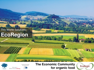 This Works Solutions: EcoRegion