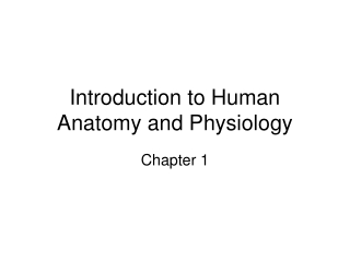 Introduction to Human Anatomy and Physiology