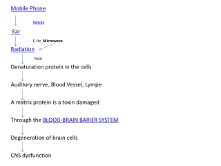 Mobile Phone Waves Ear F, Hz, Microwave Radiation heat Denaturation protein in the cells