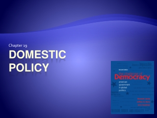 Domestic policy