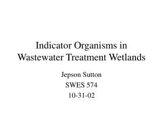 Indicator Organisms in Wastewater Treatment Wetlands