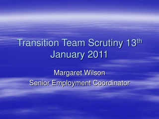 Transition Team Scrutiny 13 th January 2011