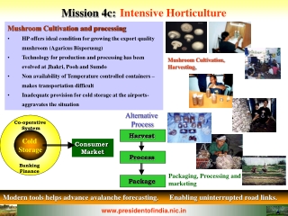 Mission 4c: Intensive Horticulture