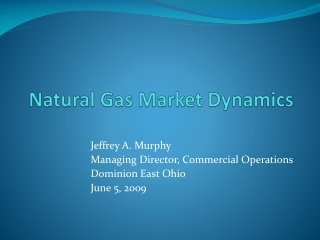 Natural Gas Market Dynamics