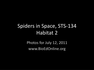 Spiders in Space, STS-134 Habitat 2