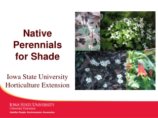 Iowa State University Horticulture Extension