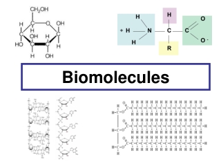 Biomolecules