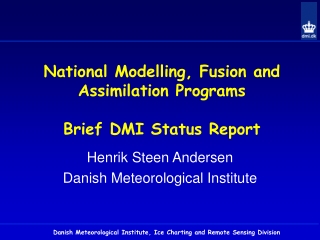 National Modelling, Fusion and Assimilation Programs Brief DMI Status Report