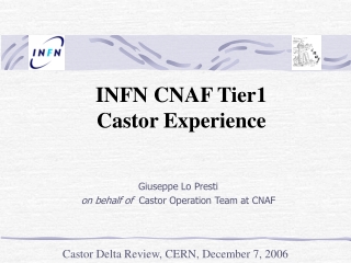 INFN CNAF Tier1 Castor Experience