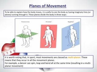 Planes of Movement