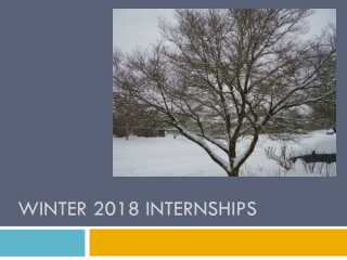 Winter 2018 Internships