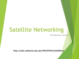Satellite Networking
