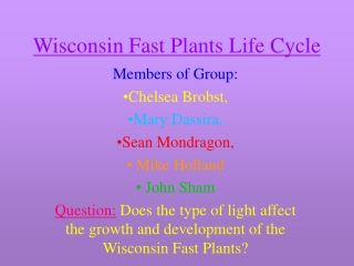 Wisconsin Fast Plants Life Cycle